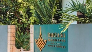 Schild des Dhoani Maldives Guesthouse mit modernem Design und üppigem Grün im Hintergrund.