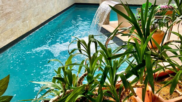 An indoor swimming pool with a waterfall feature, surrounded by potted plants. - Apartamentos Spa Casco Histórico de Isla (Isla)