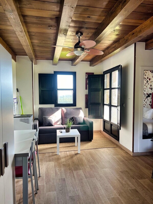 Studio, Terrace, Mountain View (Con acceso ilimitado al SPA) | Living area - Apartamentos Spa Casco Histórico de Isla (Isla)