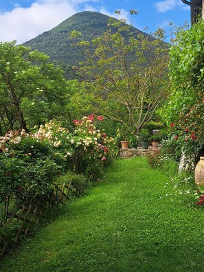 Property grounds - Large, comfortable family home with natural spring, swimming pool and river (Eygluy-Escoulin)