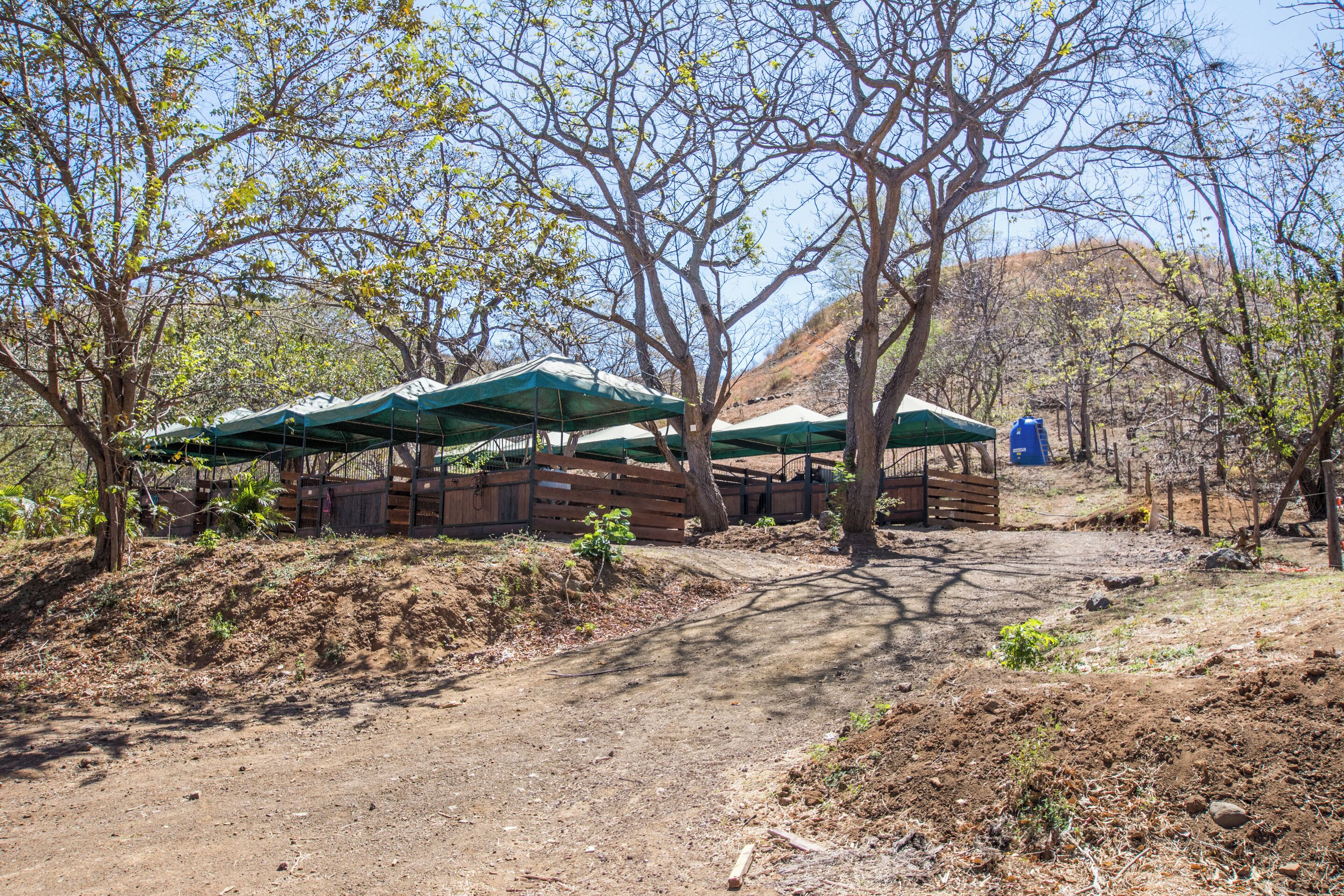 A campsite with tents and picnic tables under trees.