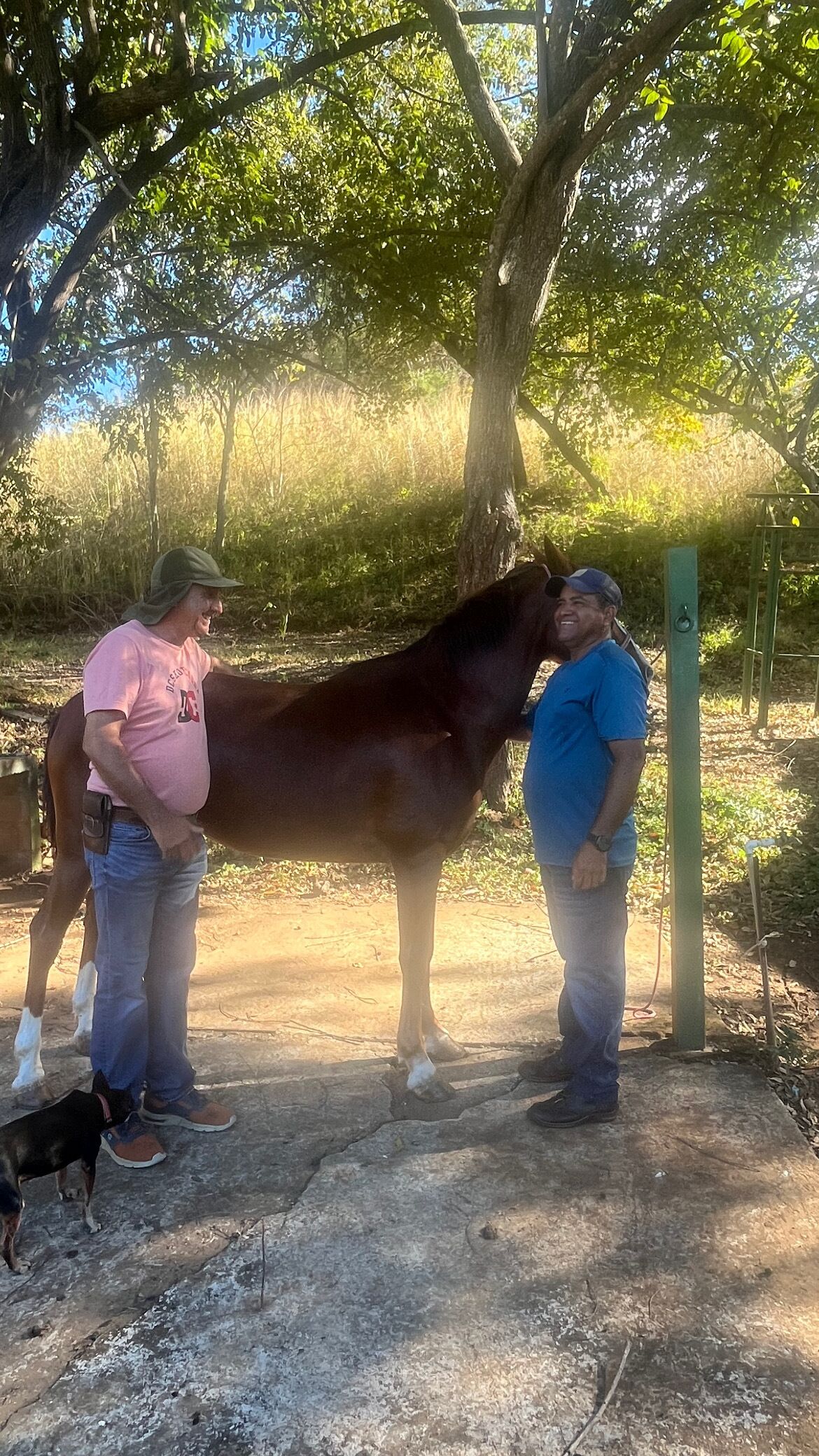 Dos personas de pie junto a un caballo en un espacio abierto con árboles y suelo de tierra.
