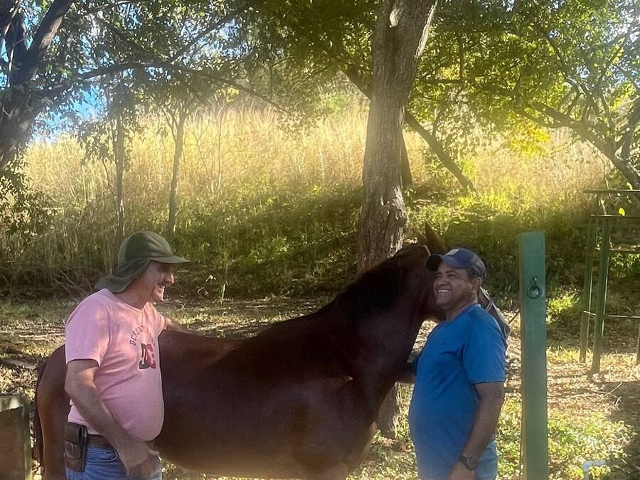 Dos personas de pie junto a un caballo en un espacio abierto con árboles y suelo de tierra.