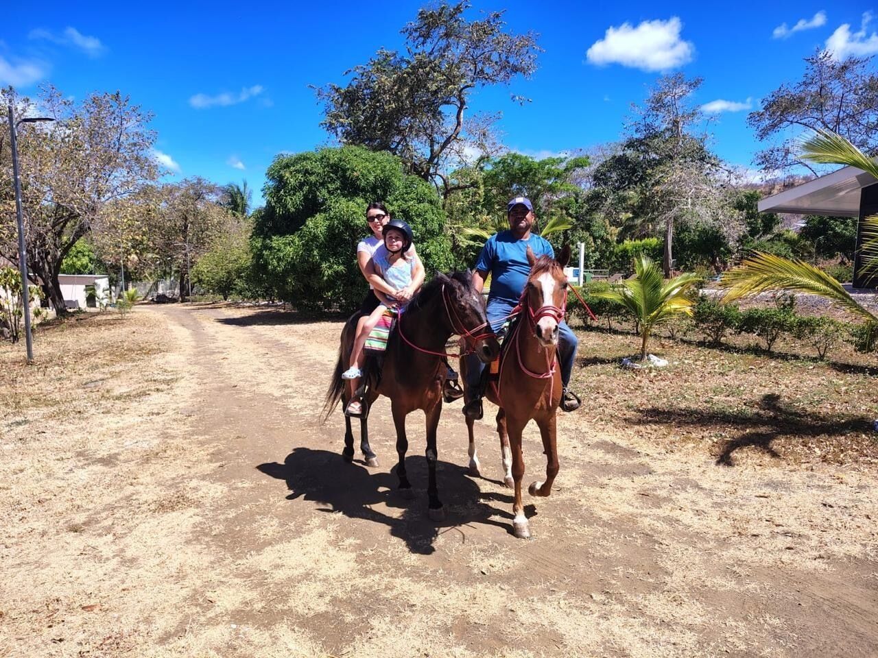 A dirt road with two horses and riders, surrounded by trees and a clear sky.