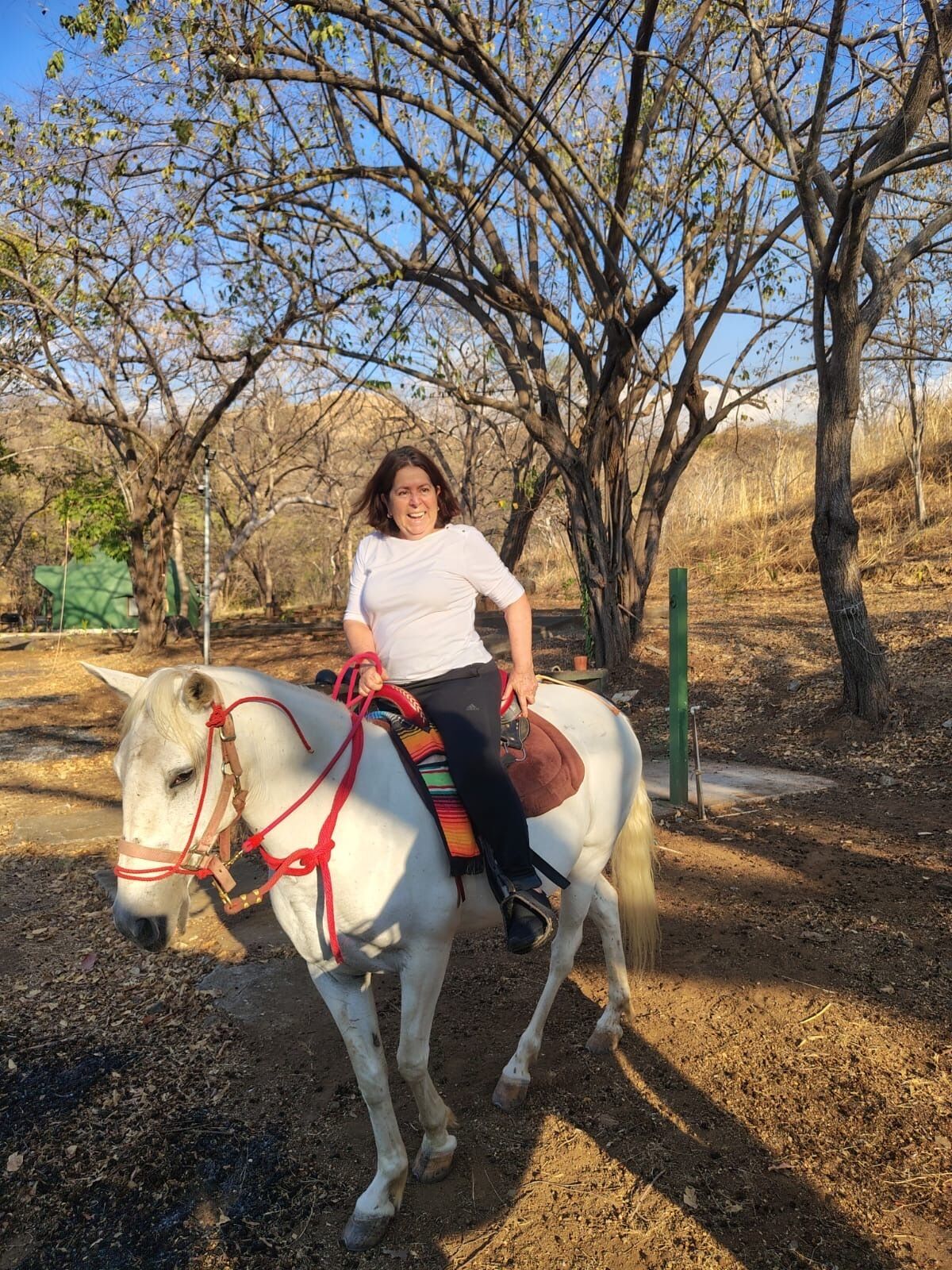 Una persona montando un caballo blanco con silla de montar y bridas, en un entorno al aire libre con árboles y terreno de tierra.