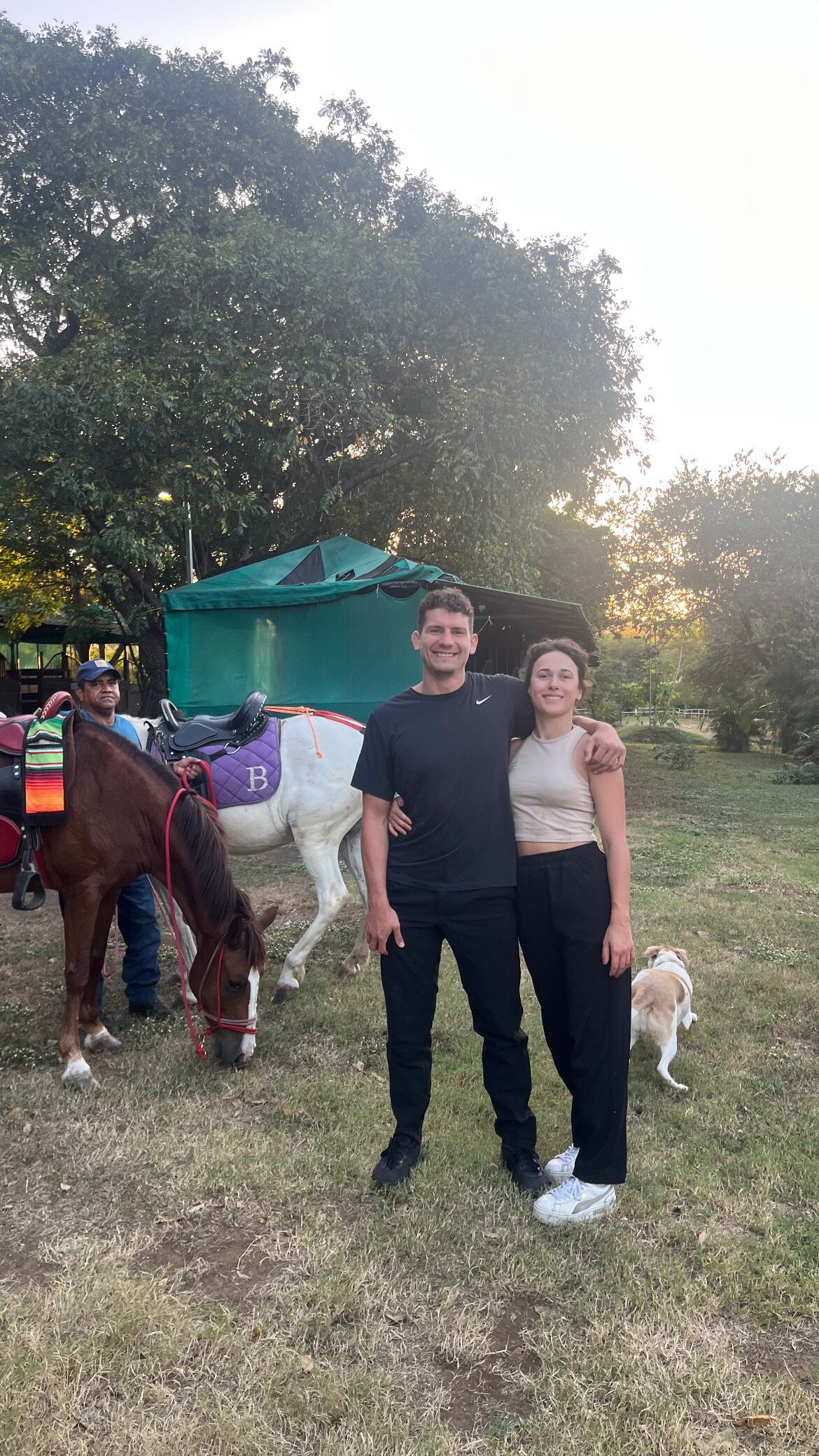 A grassy outdoor area with a horse and a dog.
