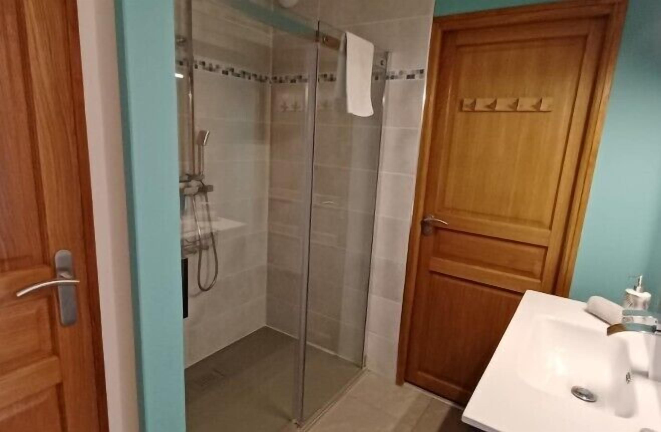 Un baño con cabina de ducha de vidrio, puerta de madera y lavamanos blanco.