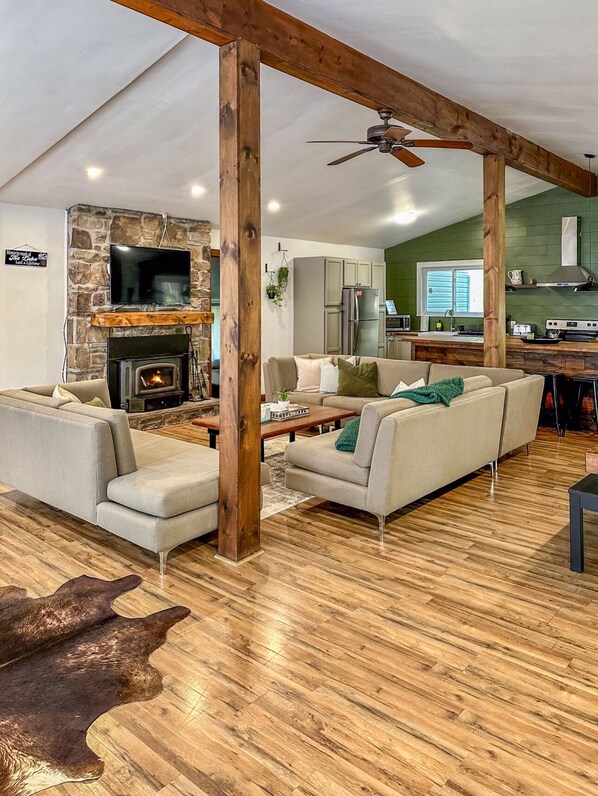 Smart TV, fireplace, books