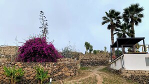 A stone pathway leading to a white building with a covered outdoor area, surrounded by palm trees and a cactus. - Bungalow with Pool in Rural Farm (El Escobonal)