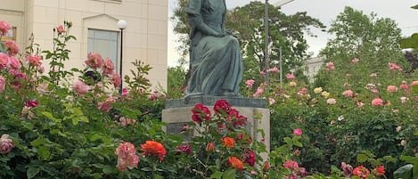 Detalle exterior