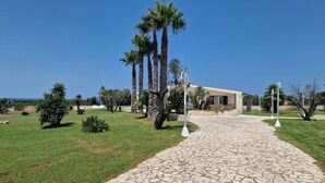 A modern building with a stone pathway leading to it, surrounded by palm trees and a clear blue sky. - Villa Paradiso in Marina di Mancaversa (Taviano)