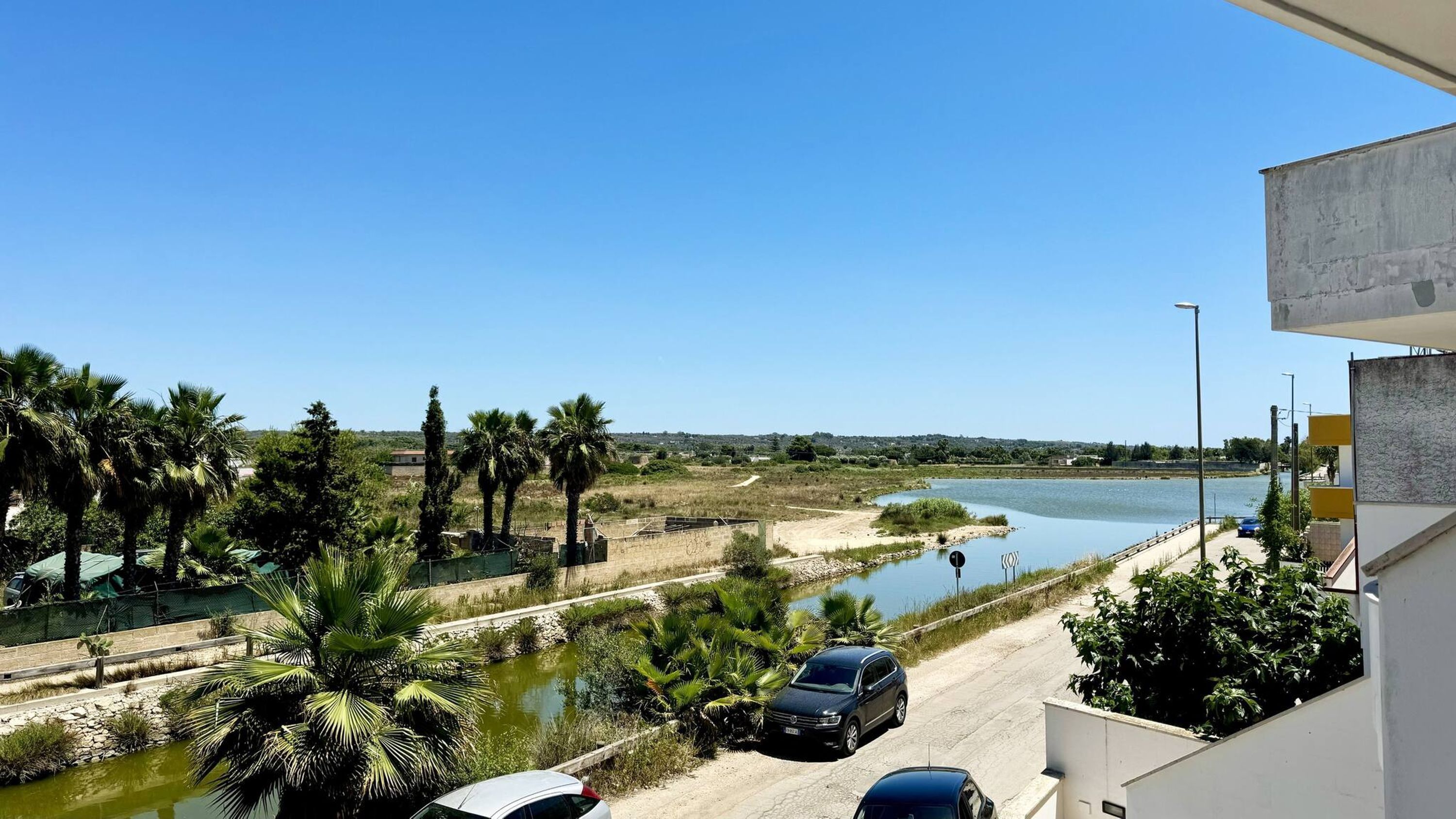 Une vue sur une rivière bordée de palmiers, avec une voiture garée au bord de la route.