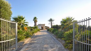 A paved pathway leading to a building with a small entrance, surrounded by palm trees and a metal gate. - Trullo Beneficati in Taviano (Taviano)