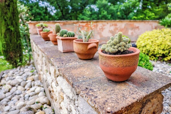 A row of terracotta pots with various cacti and succulents on a stone ledge.