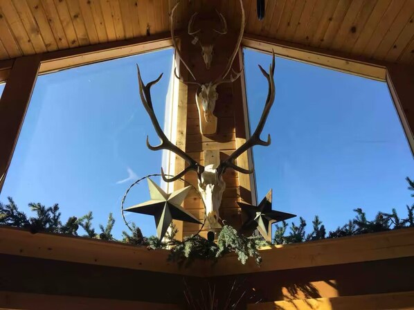 A wooden interior with a large window, a mounted deer skull, and star decorations.