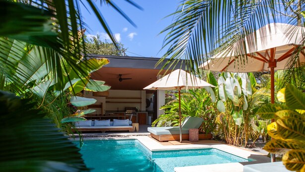 Piscina con sillones de descanso y sombrillas, rodeada de plantas tropicales.