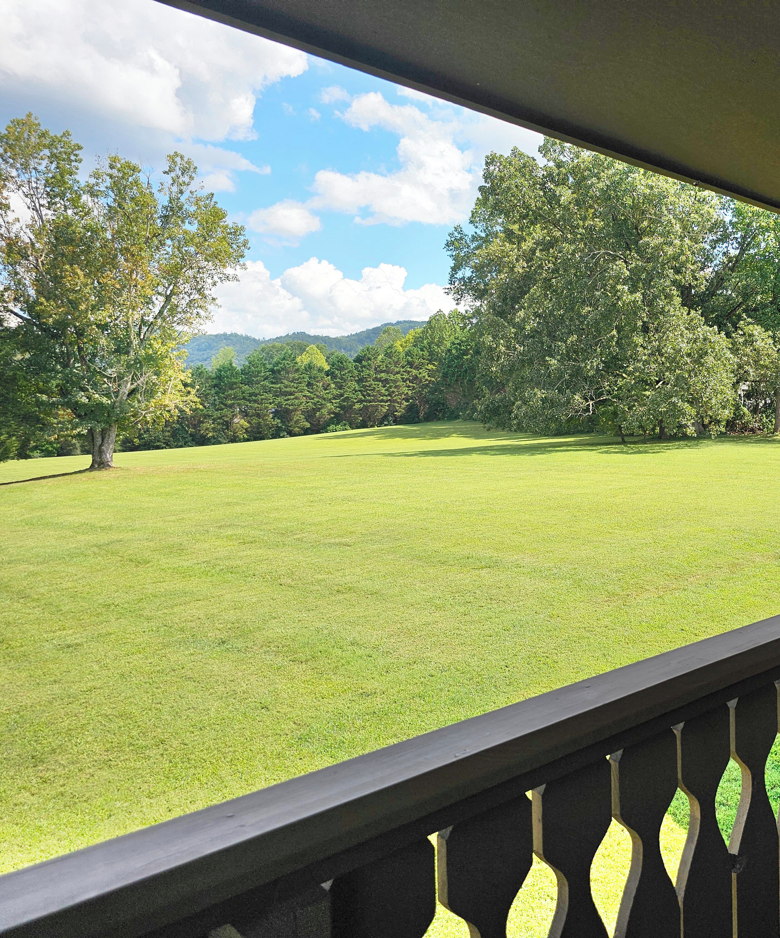 A view of a grassy field with trees and a mountain in the background.