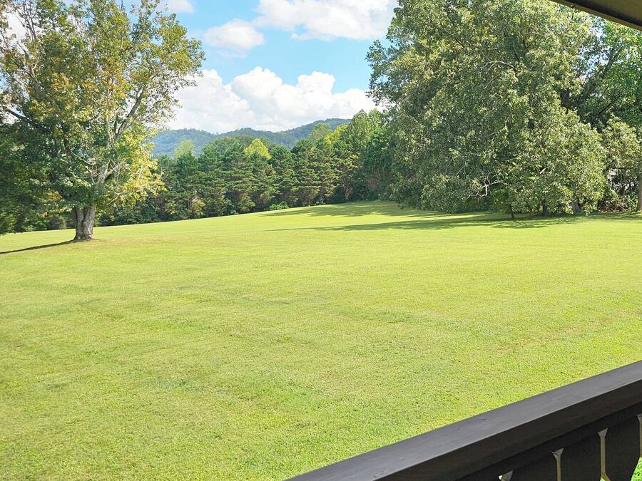 A view of a grassy field with trees and a mountain in the background.