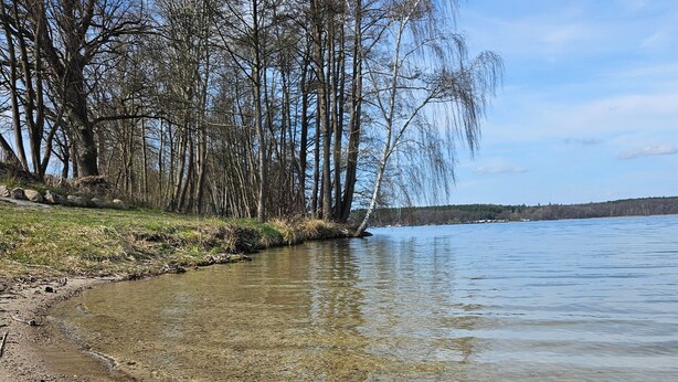 Ein klarer See mit sandigem Ufer, umgeben von kahl stehenden Bäumen.