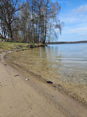 A clear view of a lake with a sandy shore, surrounded by leafless trees.