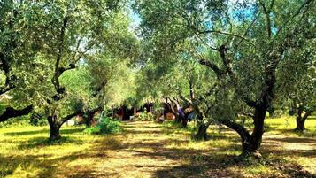 Enceinte de lâhĂ©bergement