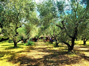 Enceinte de l’hébergement