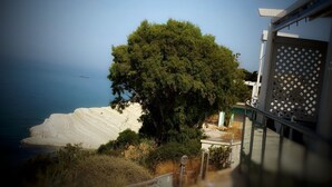 A coastal view with a large tree, a sandy beach, and a building with a lattice facade. - TerrazzaRooms (Realmonte)