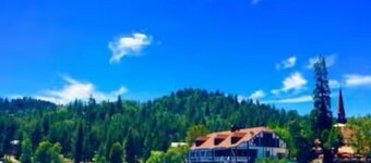 Breath Taking Lake View - Charming 3-bedroom cabin in terrific Lake Arrowhead!