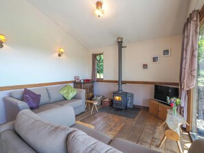 TV, peis og DVD-spiller