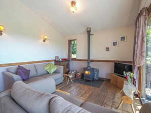 TV, fireplace, DVD player - Caban Cynnes, Aberporth (Rhydlewis)