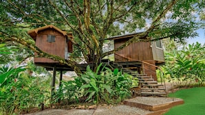 A treehouse with wooden construction, built around a large tree, featuring a staircase leading to the upper levels. - Central Hotel Bocas del Toro (Bocas del Toro)