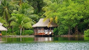 A wooden structure with a thatched roof, surrounded by lush greenery and a calm body of water. - Central Hotel Bocas del Toro (Bocas del Toro)