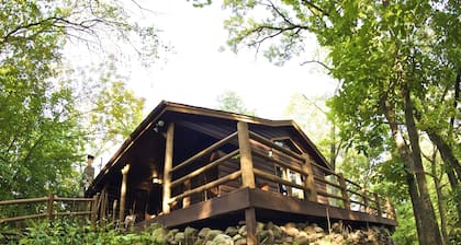 Hugel Hutte - Cozy cabin nestled in woods - Feels like a TreeHouse