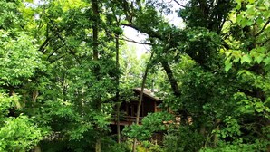 Una cabaña rodeada de un bosque denso.