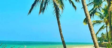 Plage, chaises longues