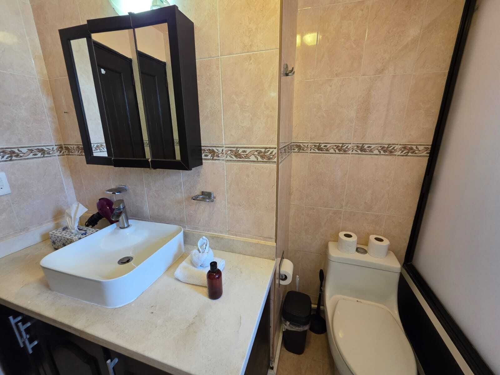 A bathroom with a white sink, a mirror, and a toilet.
