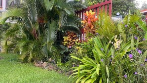 Un exuberante jardín con diversas plantas tropicales y una cerca roja.