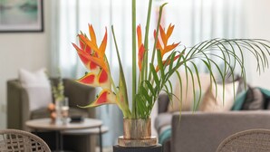 Un comedor con una mesa redonda, cuatro sillas grises y un jarrón con flores naranjas.