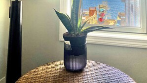 A potted plant on a round table by a window with a view of a body of water and buildings. - Cottage on the Lake with AC, WiFi, parking - Long term rental, pets OK (Merrimac)