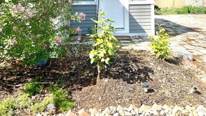 A modern house with a small attached garage, a well-maintained garden, and a clear sky. - Cottage on the Lake with AC, WiFi, parking - Long term rental, pets OK (Merrimac)