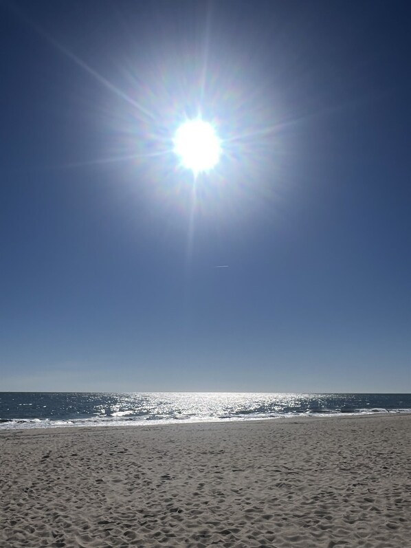 Beach - Turtle Cove Rehoboth Beach 2 Bdrm Parking Smll Dog (Rehoboth Beach)