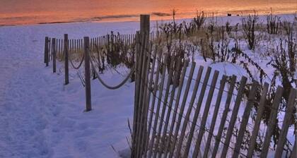 Turtle Cove Rehoboth Beach 2 Bdrm Parking Smll Dog