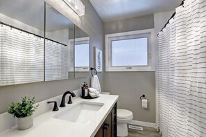 A modern bathroom with a large mirror, a white sink, a toilet, and a shower curtain. - Historical Highlands Home (edmonton)