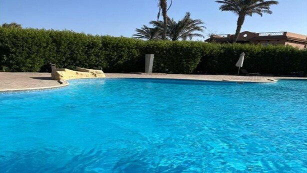 A clear blue swimming pool surrounded by a low hedge and palm trees.