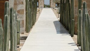 A pathway flanked by tall cacti leading to a building with a stone facade and an arched entrance. - Increíble casa frente a la playa (Ligth House Point States)