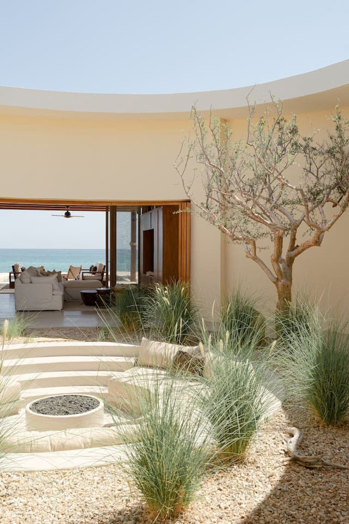 Værtens profilbillede