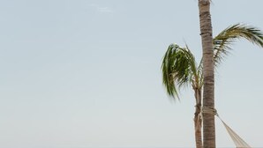 A pool area with a palm tree and a hammock, surrounded by a sandy beach and the ocean. - Increíble casa frente a la playa (Ligth House Point States)