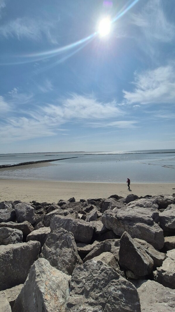 Plage, chaises longues
