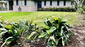 Uma casa térrea com telhado plano, varanda frontal e gramado bem cuidado.