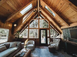 Télévision, cheminée, livres, espaces bureaux